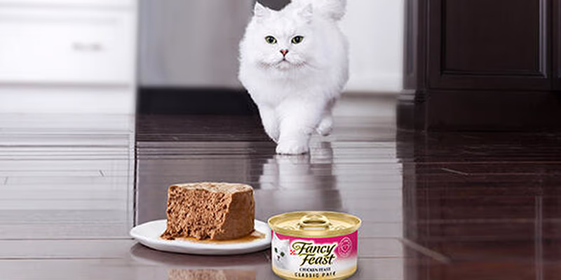 cat food