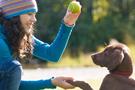 puppy being trained outside ck22 unld