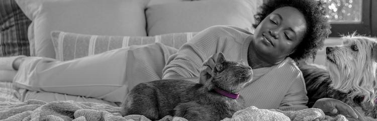 A woman laying on her side petting a cat, next to a dog