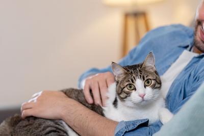 Cat Care Basics