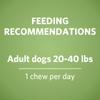 feeding recommendations, adult dogs 20-40 pounds, 1 chew per day