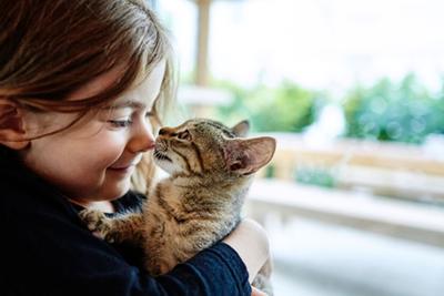 Do Cats Need Different Food at Different Stages of Their Lives?