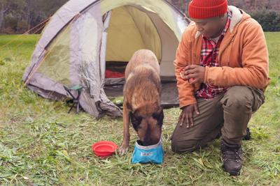 Dog Nutrition Basics - hero