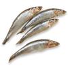 Anchovies