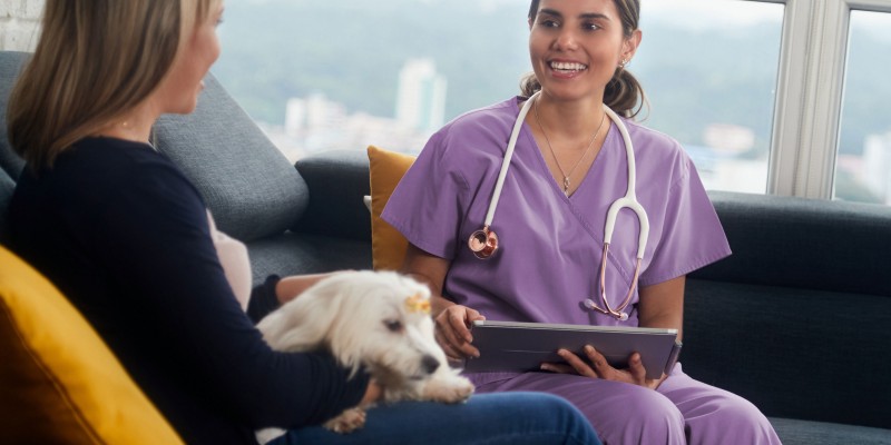 Hypertension & High Blood Pressure in Dogs