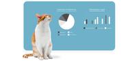 Petivity Insights Report