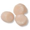 Scallops