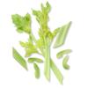 Celery
