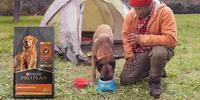 dog food