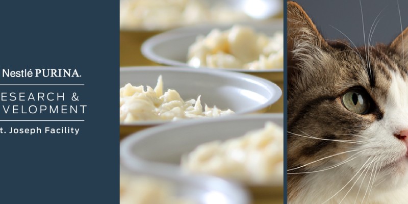 Our Pet Care Center