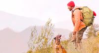 purina product innovation pet food dog outdoors