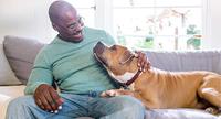 man with brown dog on couch