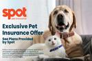 pet insurance