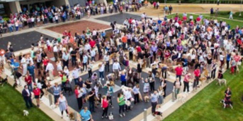 Most Pets at Work World Record