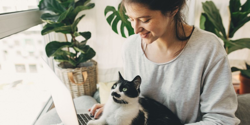 What to Know Before Getting a Cat
