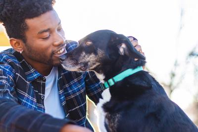 When to Switch to Senior Dog Food