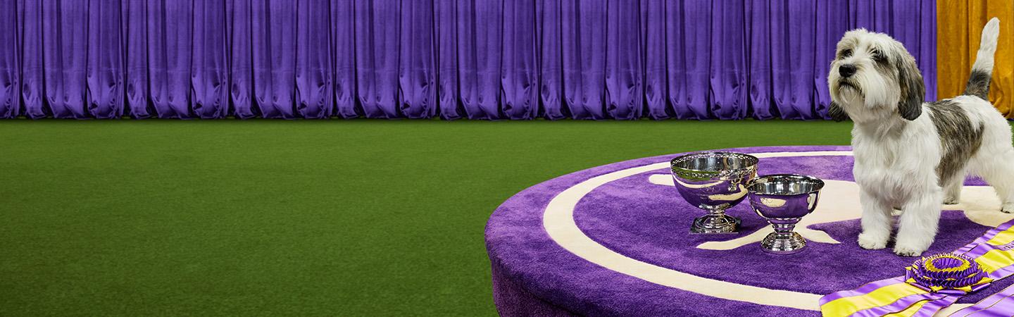 Westminster Best In Show winner