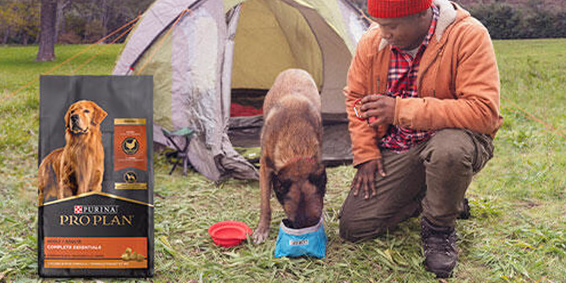 dog food