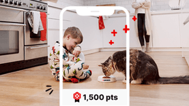mypurina app 1,500 pts